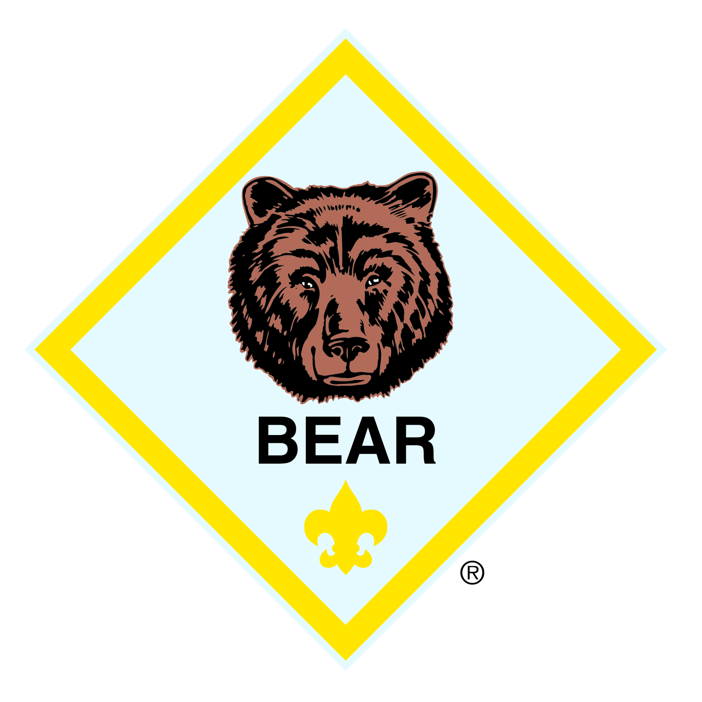 bear